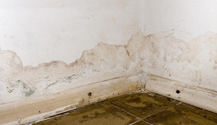 Water damaged floor and all corner