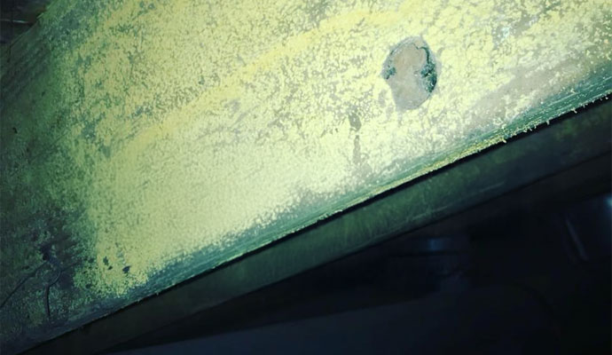 Basement Mold Removal