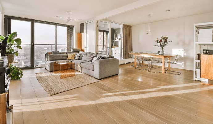 Modern living room with natural light