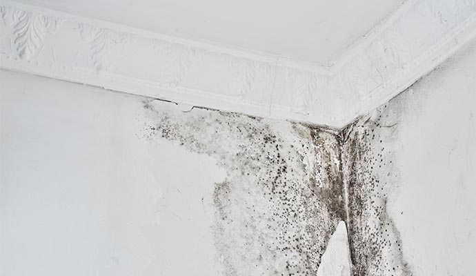 Mold damaged ceiling resulting odor