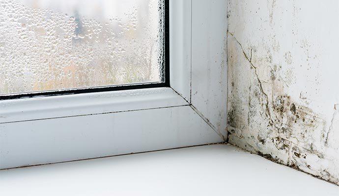 Mold damaged window corner