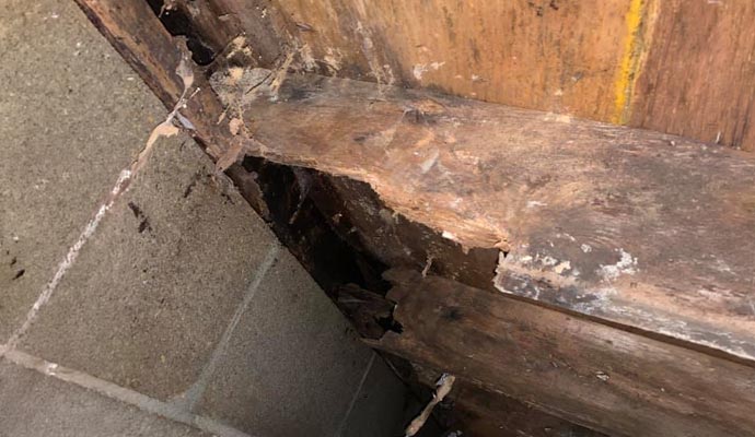 Rotten wooden structure