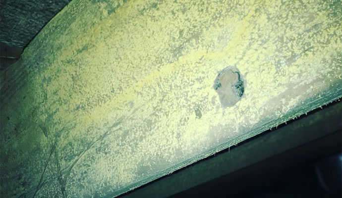 Mold removal and remediation services in Fishers, Indiana.