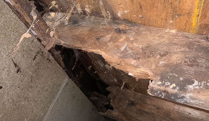 Wood rot and moisture damaged floor joist